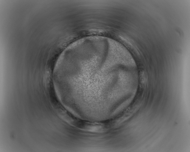 X0000113600463200910091524