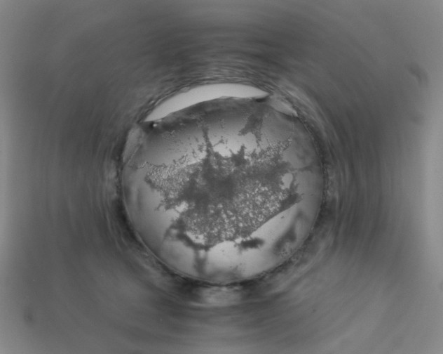 X0000113600465200910091524