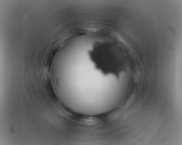 X0000113600467200910091524