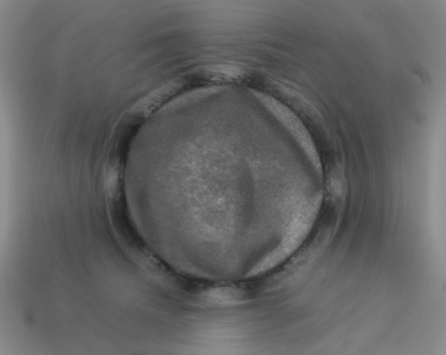 X0000113600468200910091524