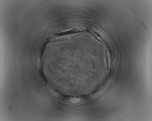 X0000113600469200910091524