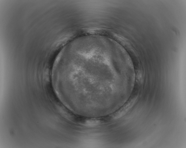 X0000113600470200910091524