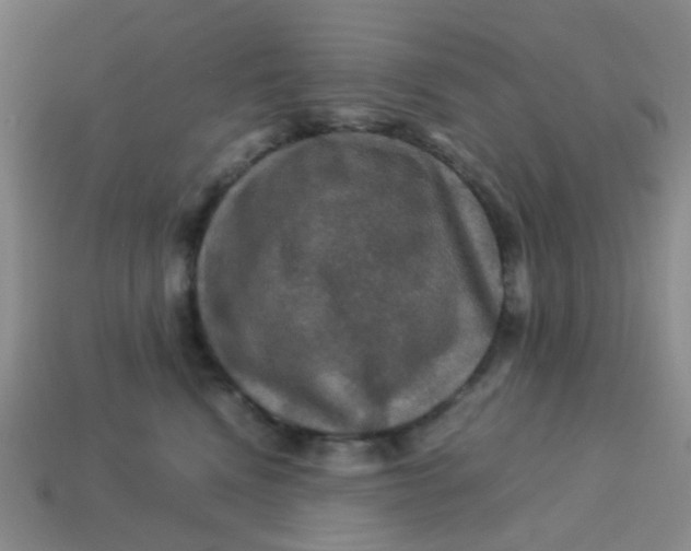 X0000113600472200910091524