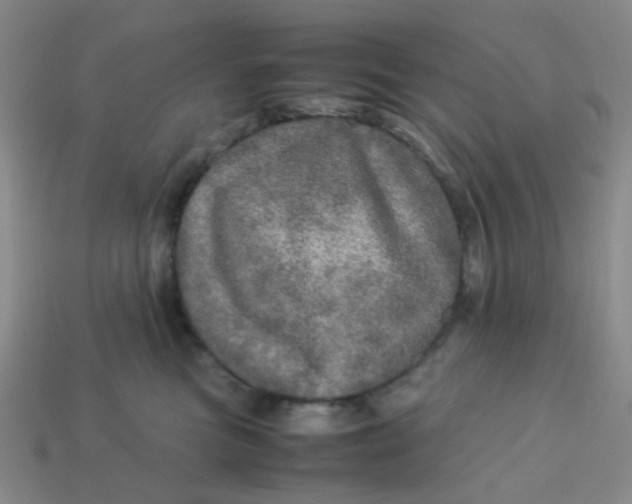 X0000113600473200910091524