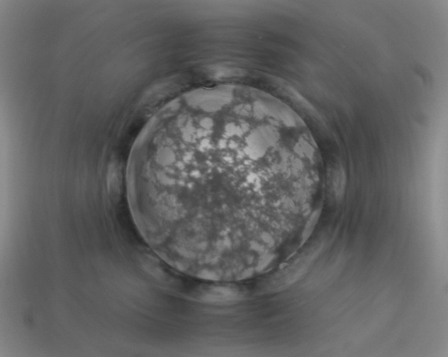 X0000113600475200910091524