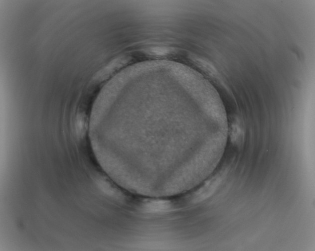 X0000113600476200910091524