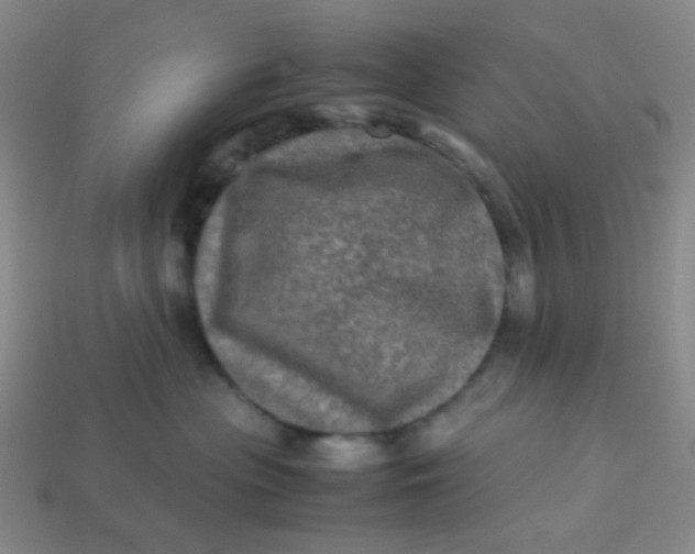 X0000113600477200910091524