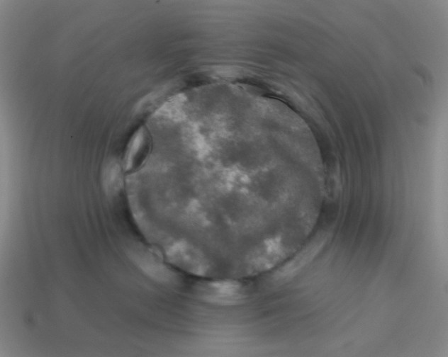 X0000113600478200910091524