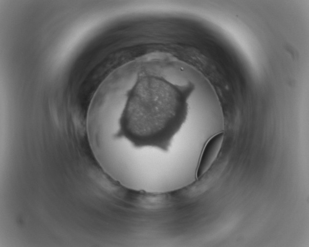 X0000113600479200910091524