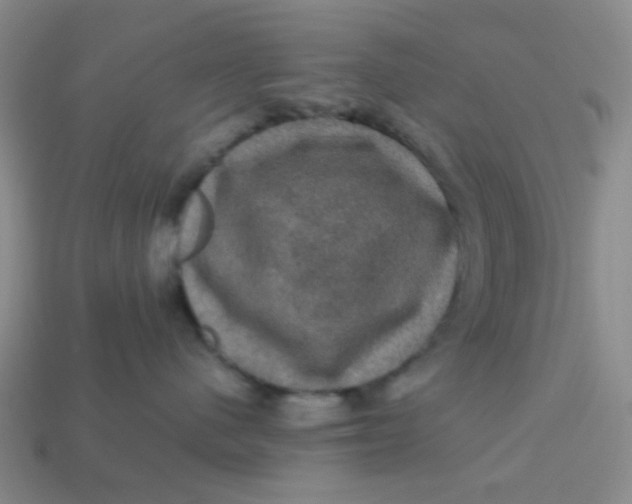 X0000113600480200910091524