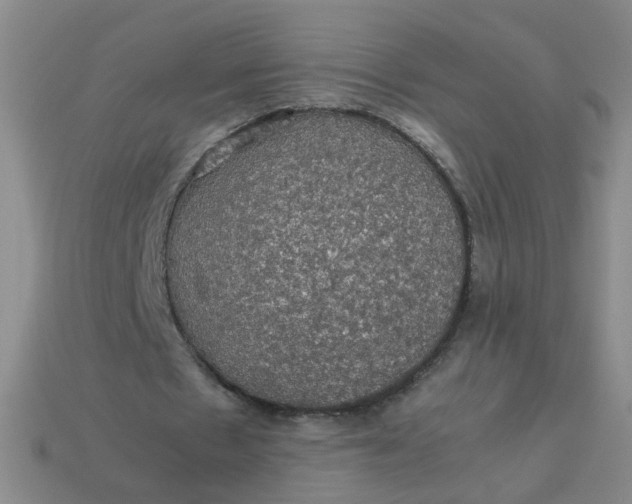 X0000113600481200910091523