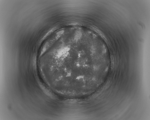 X0000113600482200910091523