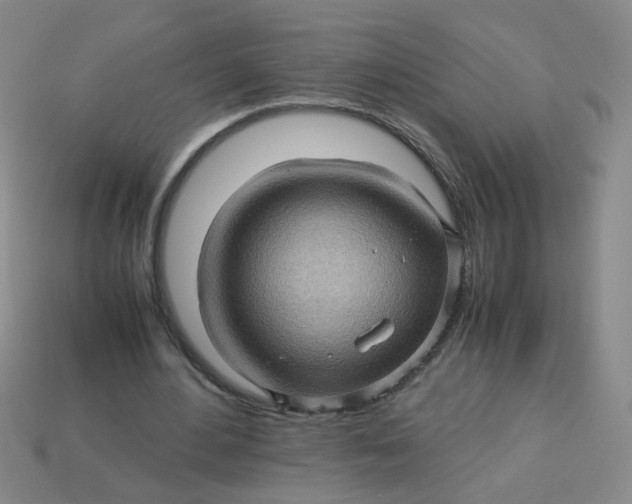 X0000113600484200910091523