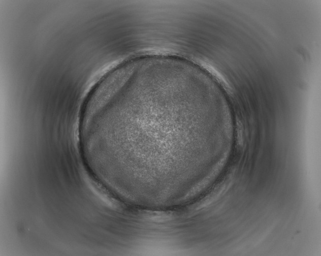 X0000113600486200910091523