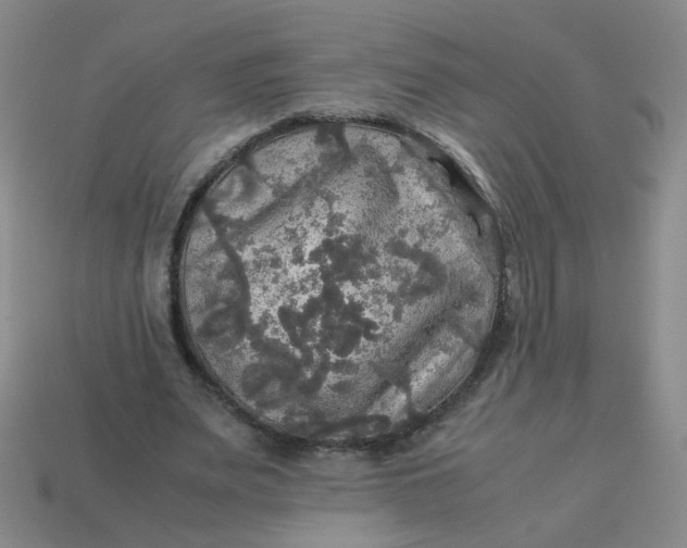 X0000113600487200910091523