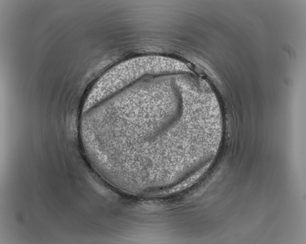 X0000113600489200910091523