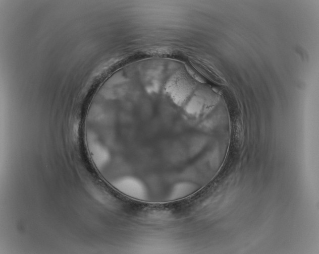 X0000113600491200910091523