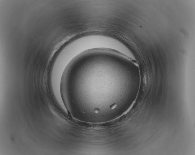 X0000113600492200910091523