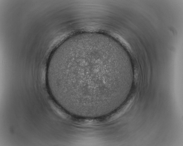 X0000113600493200910091523