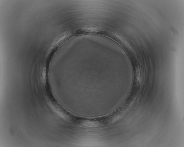 X0000113600494200910091523