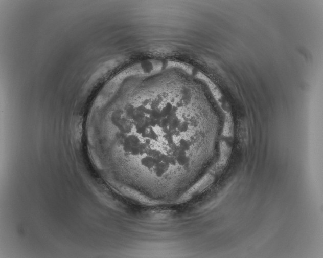 X0000113600495200910091523