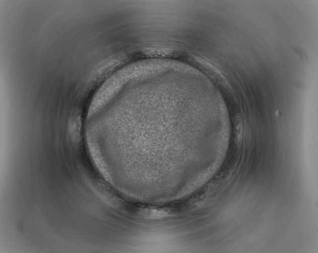 X0000113600498200910091523