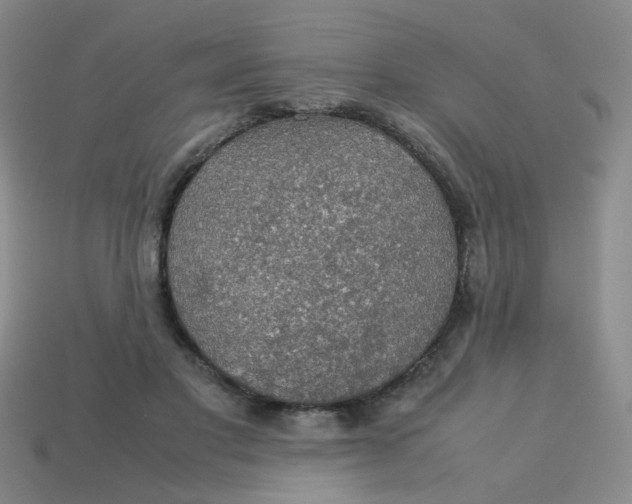 X0000113600501200910091523