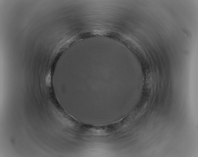 X0000113600502200910091523