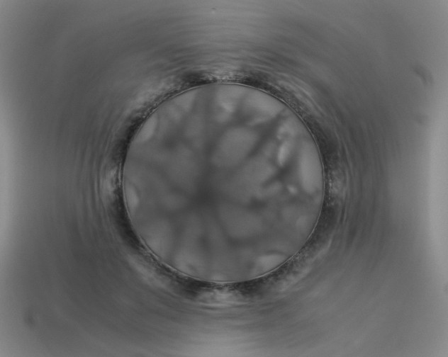 X0000113600503200910091523