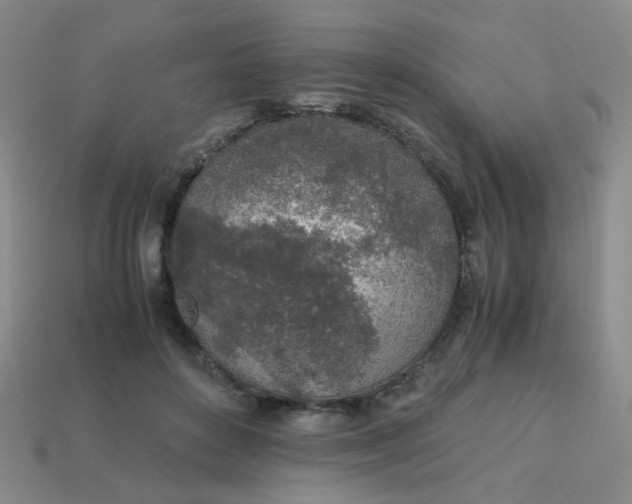 X0000113600504200910091523