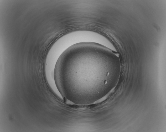 X0000113600505200910091523