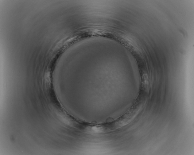 X0000113600506200910091523