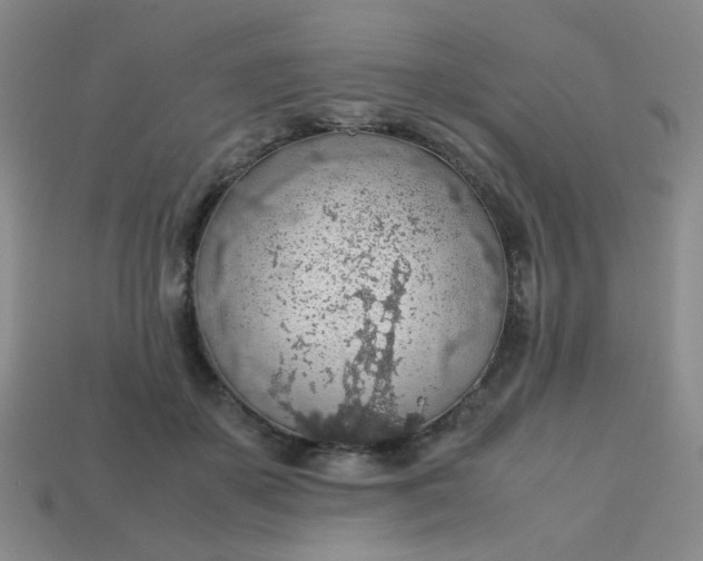 X0000113600507200910091523