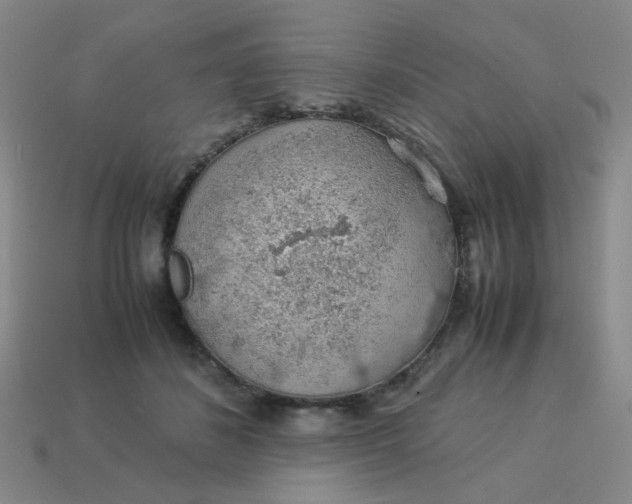 X0000113600508200910091523