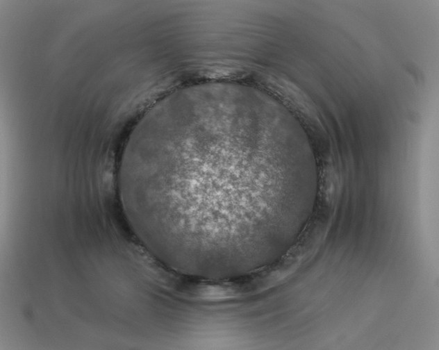 X0000113600510200910091523