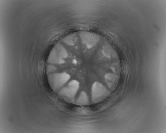 X0000113600511200910091523