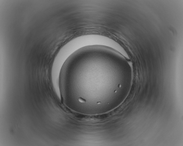 X0000113600512200910091523