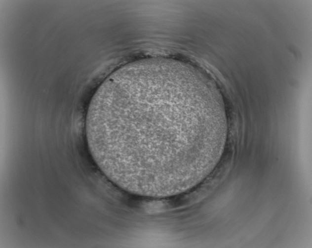 X0000113600513200910091523