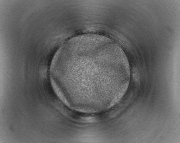 X0000113600514200910091523