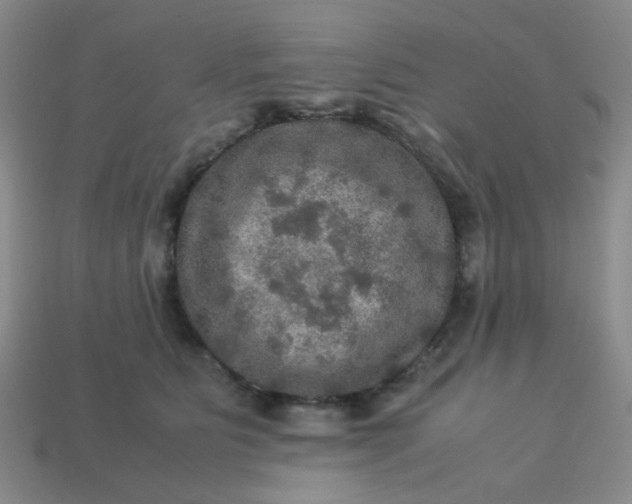 X0000113600515200910091523