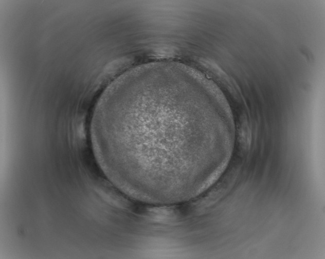 X0000113600516200910091523