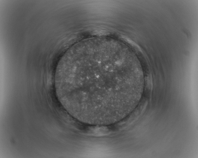 X0000113600517200910091523