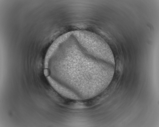 X0000113600518200910091523