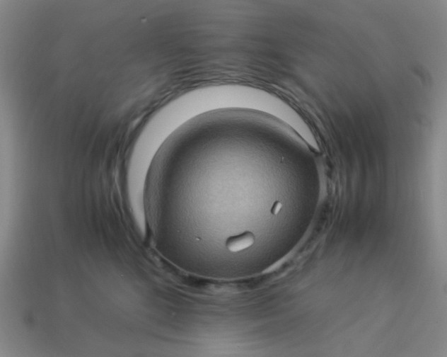 X0000113600520200910091523