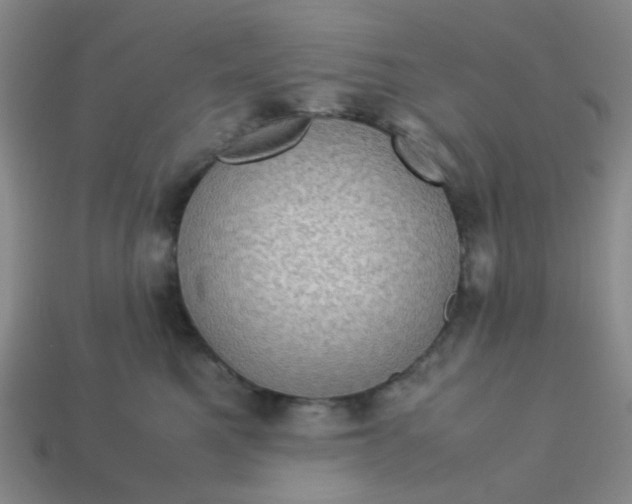 X0000113600521200910091523