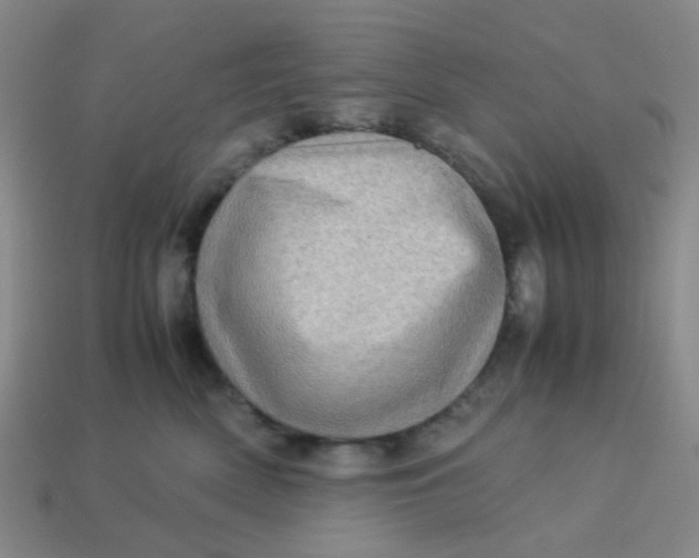 X0000113600522200910091523