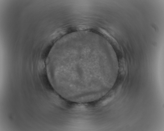 X0000113600523200910091523