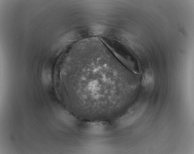 X0000113600524200910091523