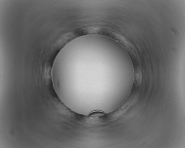 X0000113600525200910091523