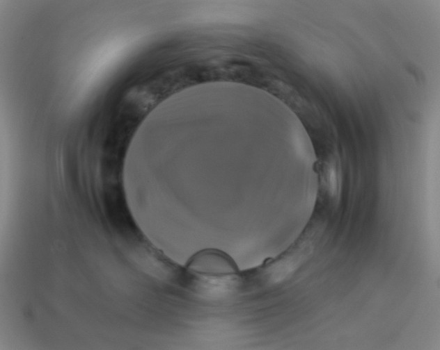 X0000113600526200910091523